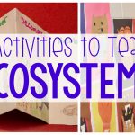 10 Activities To Teach Ecosystems   Ashleigh's Education Journey