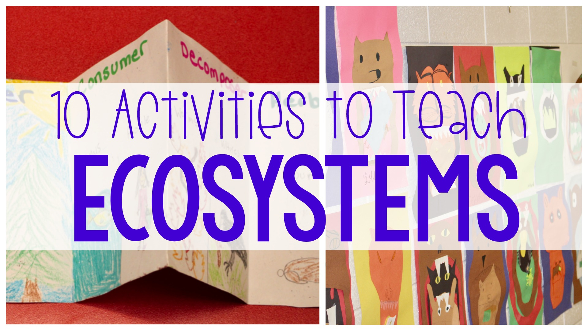 10 Activities To Teach Ecosystems - Ashleigh&amp;#039;s Education Journey