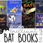 12 Brilliant Bat Books For Kids {With Teaching Ideas!}   Mrs