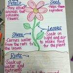 17 Creative Ways To Teach Plant Life Cycle   Weareteachers