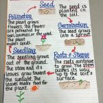 17 Creative Ways To Teach Plant Life Cycle   Weareteachers