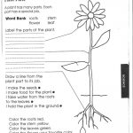 1St Grade Science Worksheets | Picking Apart Plants   People