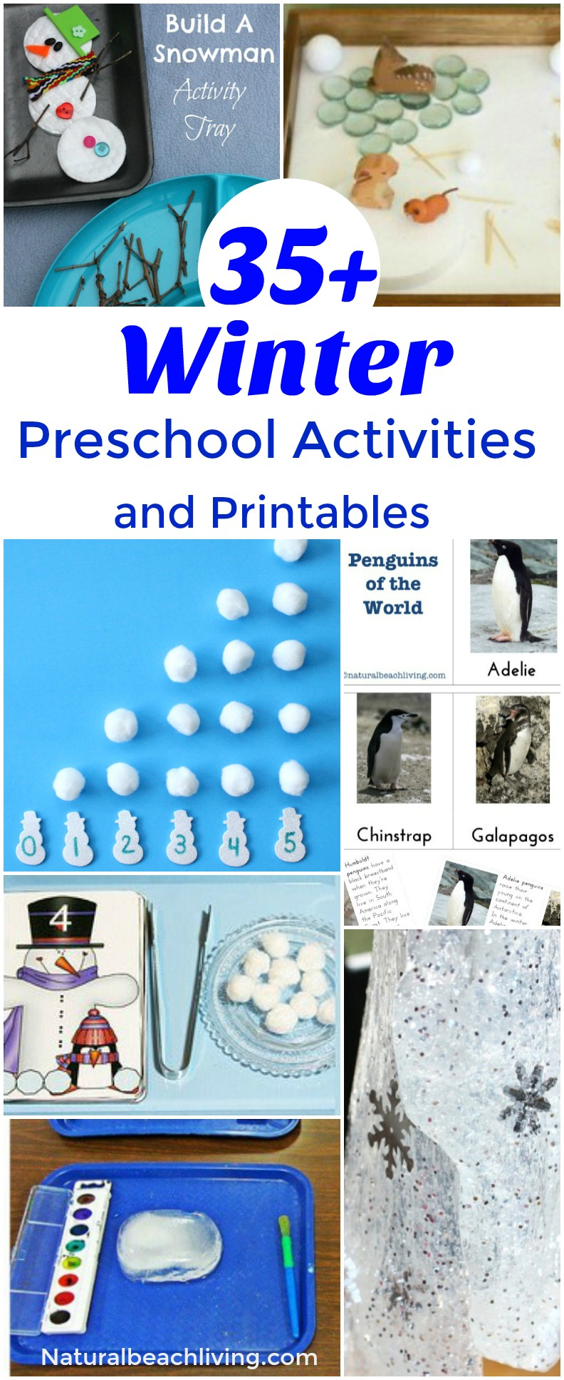 21+ January Preschool Themes With Lesson Plans And