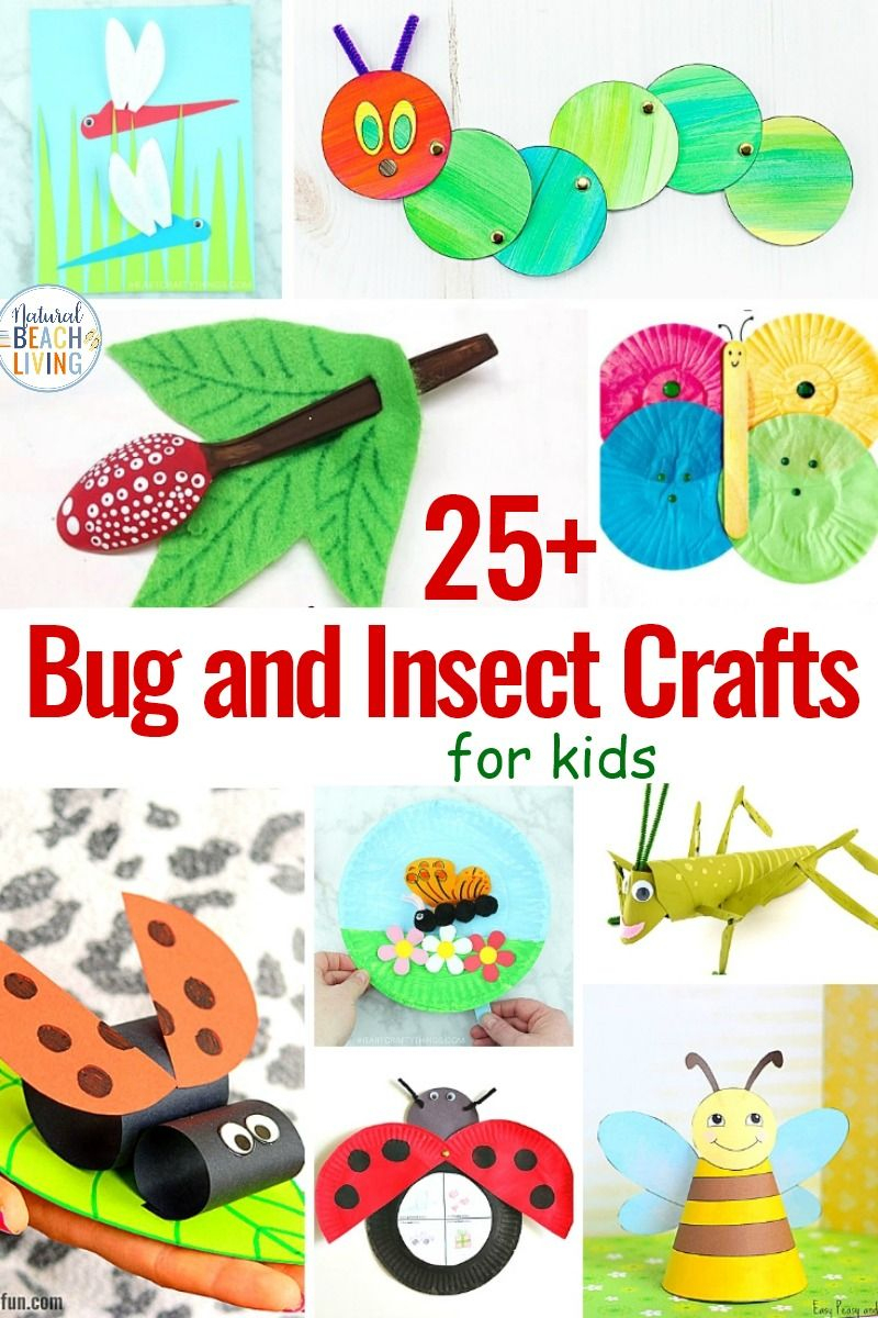25 Bug And Insect Crafts For Kids | Bug Activities, Insect