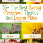 35+ The Best Spring Preschool Themes And Lesson Plans