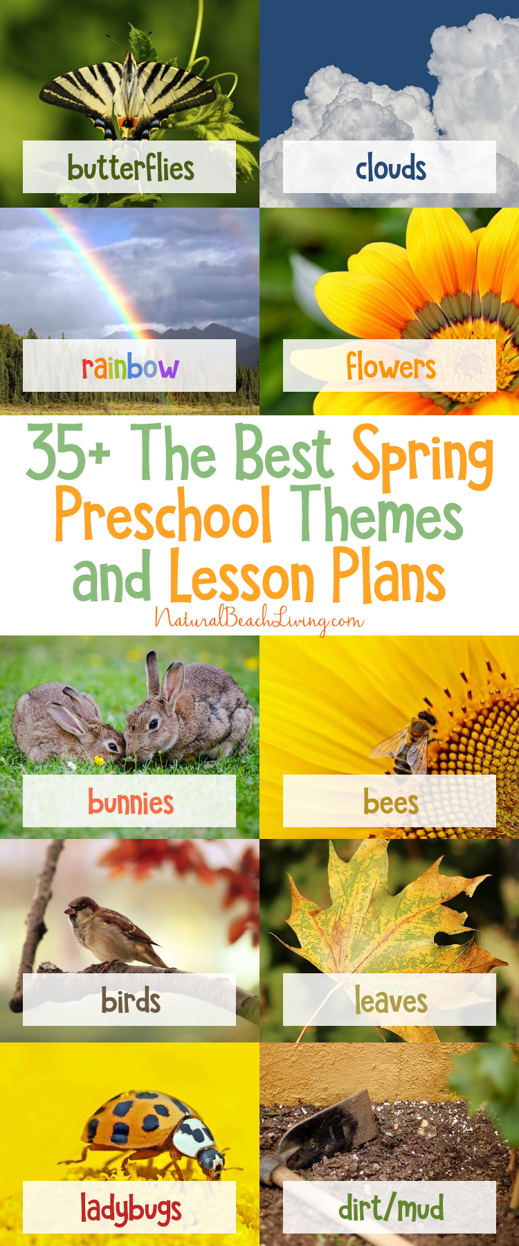 35+ The Best Spring Preschool Themes And Lesson Plans