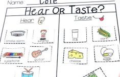 Sense Of Taste Lesson Plan Preschool
