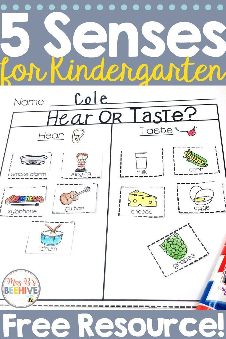 5 Senses - Hearing Vs. Taste | Kindergarten Science