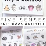 5 Senses Interactive Flip Book | Lesson Plans For Toddlers