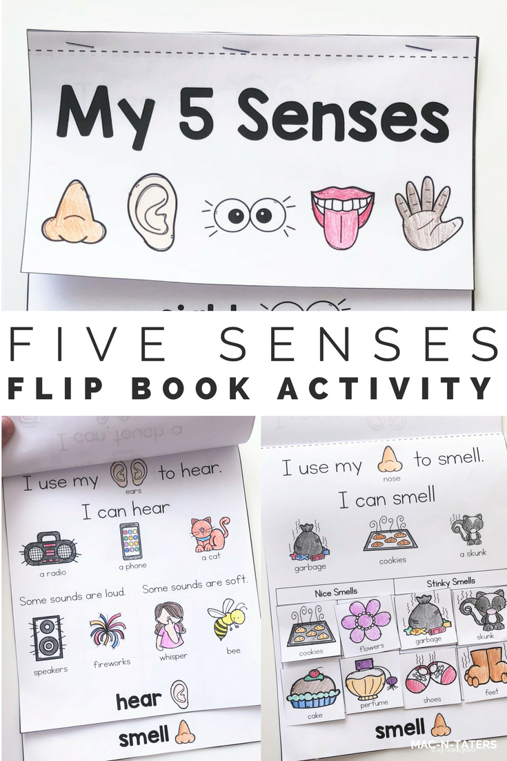 5 Senses Interactive Flip Book | Lesson Plans For Toddlers