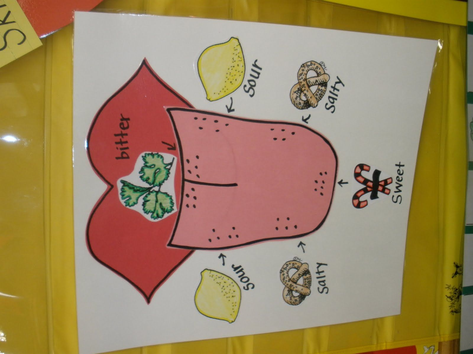 5 Senses: Taste | Senses Preschool, 5 Senses Preschool, Five