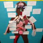 5Th Grade Students Create A Human Body Model Of Organs And