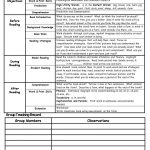 A Z Leveled Books Support: Guided Reading Lesson Plans Set A
