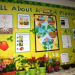 All About Plants   2Nd Grade Science Bulletin Board | Plant