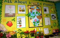 2nd Grade Science Lesson Plans On Plants