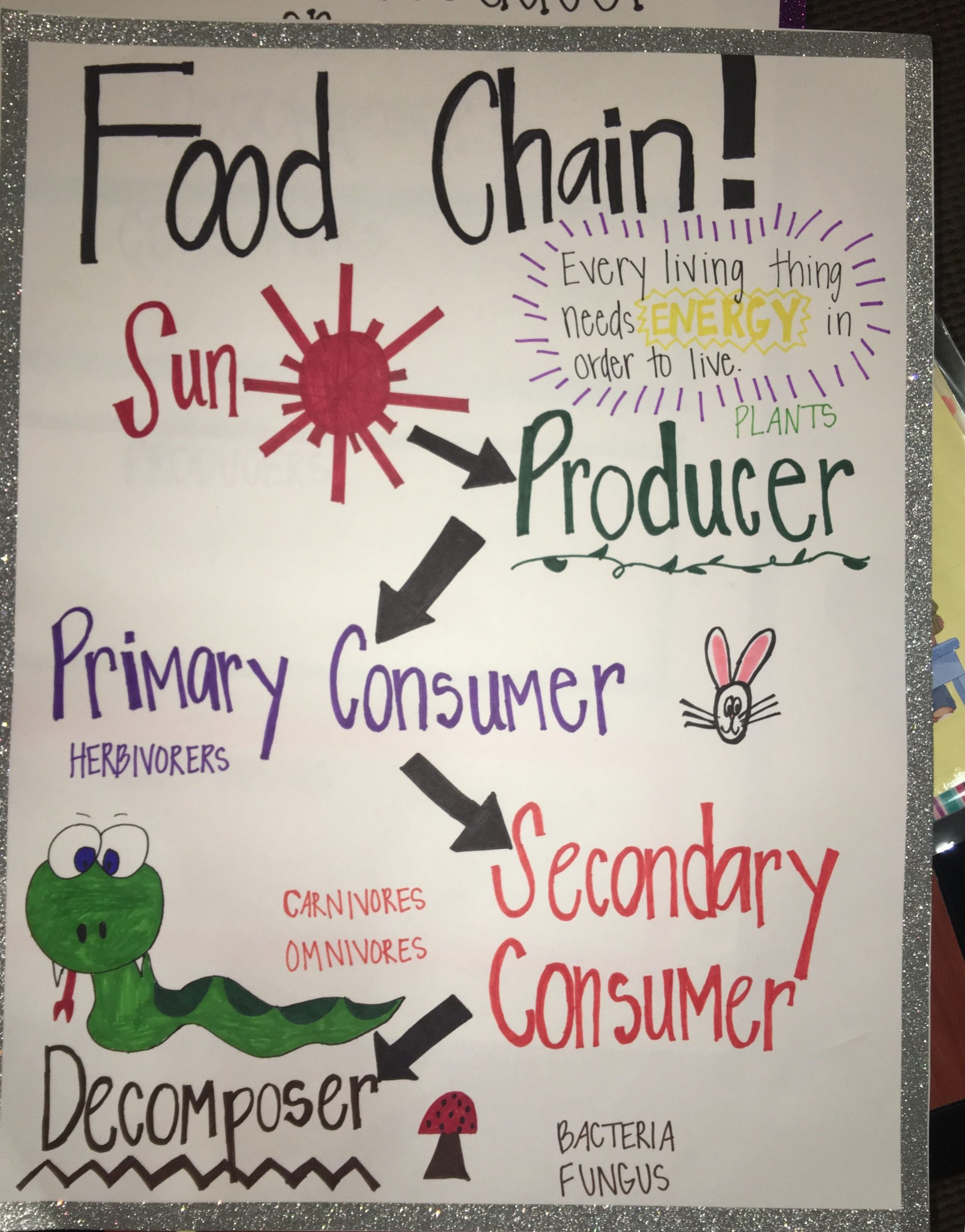 Anchor Chart For Food Chain 3Rd Grade | Food Chain