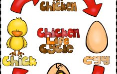 Chicken Life Cycle Lesson Plans For Kindergarten