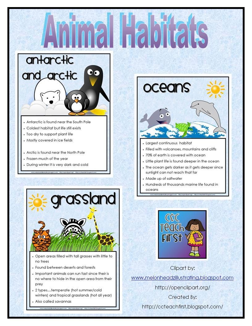 Animal Habitats Facts Posters/sheets. This Includes The