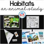 Animal Habitats Science Unit   A Dab Of Glue Will Do