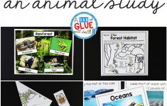 Animal Habitats Science Unit – A Dab Of Glue Will Do