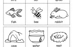 Kindergarten Science Lesson Plans Animals