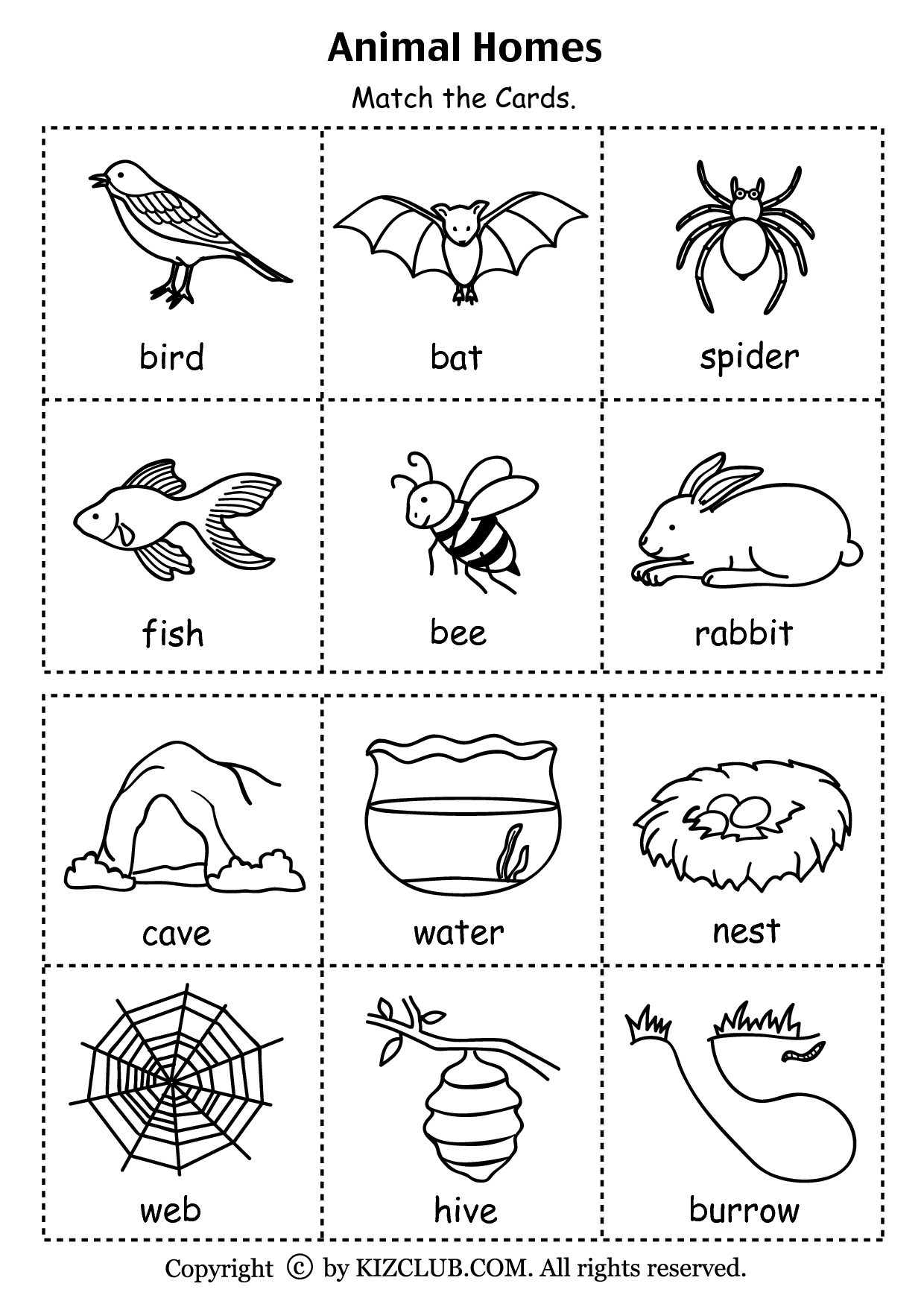 Animal Homes (Pdf) | Preschool Science, Animal Habitats