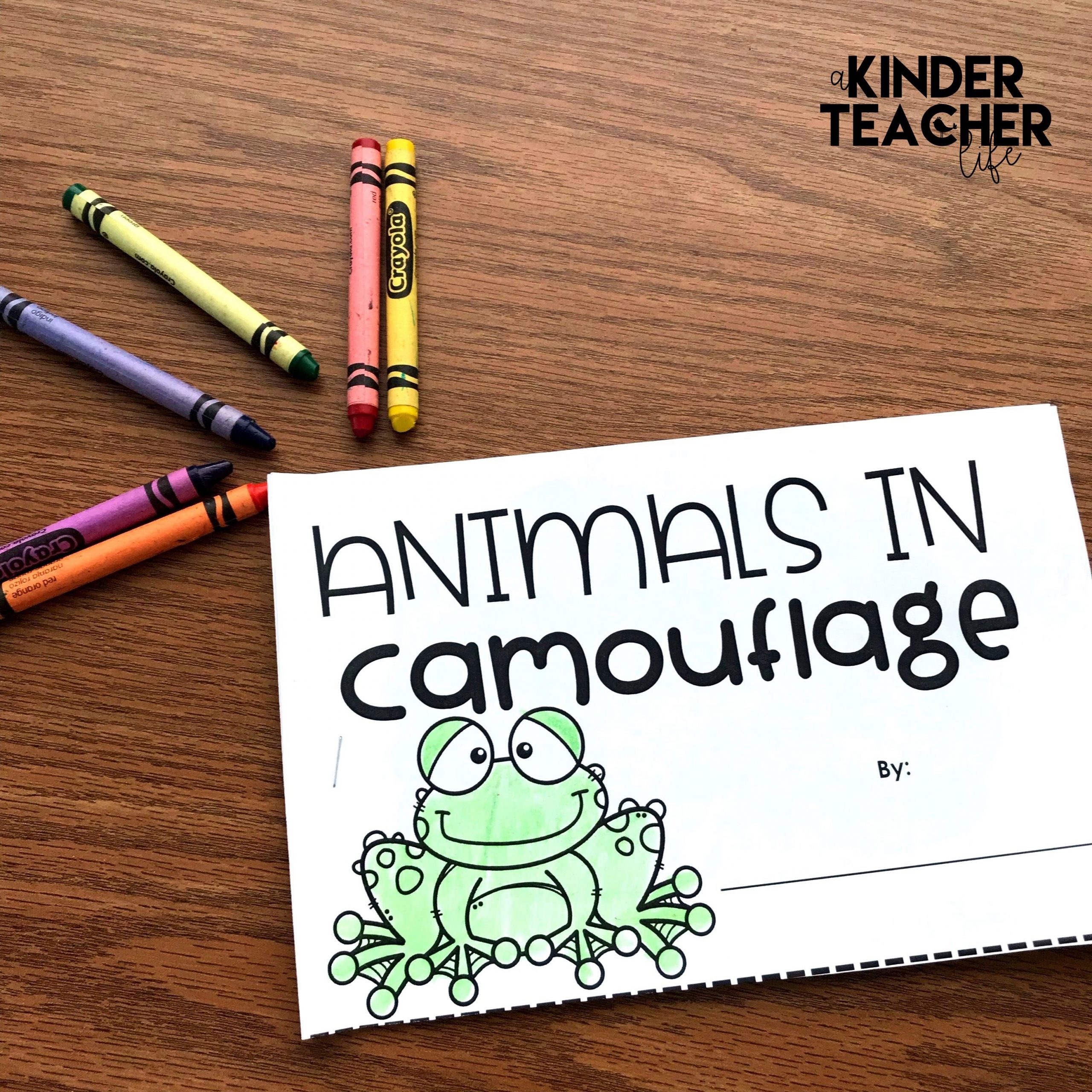 Animals In Camouflage Printable Booklet | Kindergarten