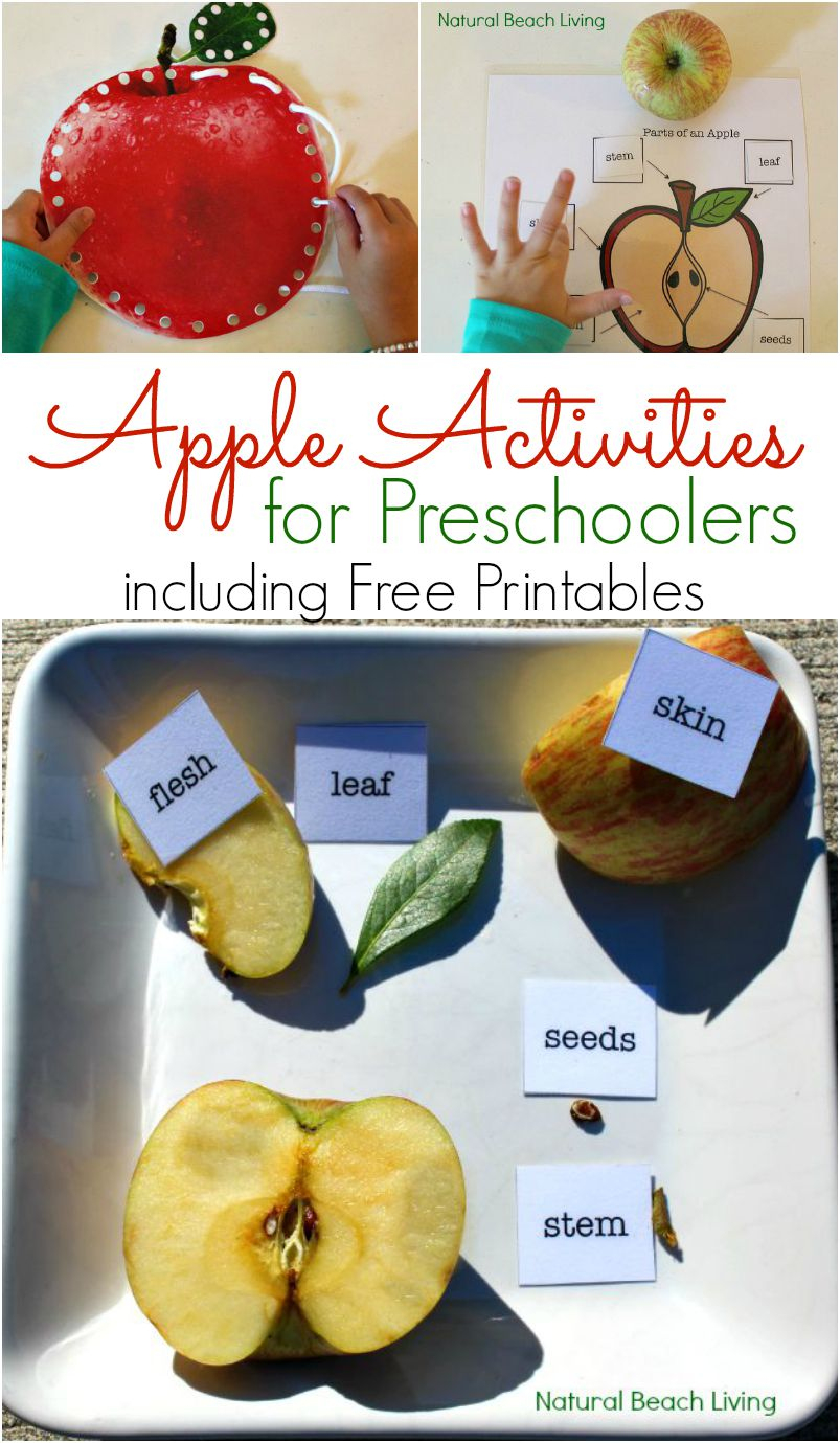 Apple Activities For Preschoolers - Apple Science Free