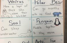 Arctic Animals Preschool Lesson Plans
