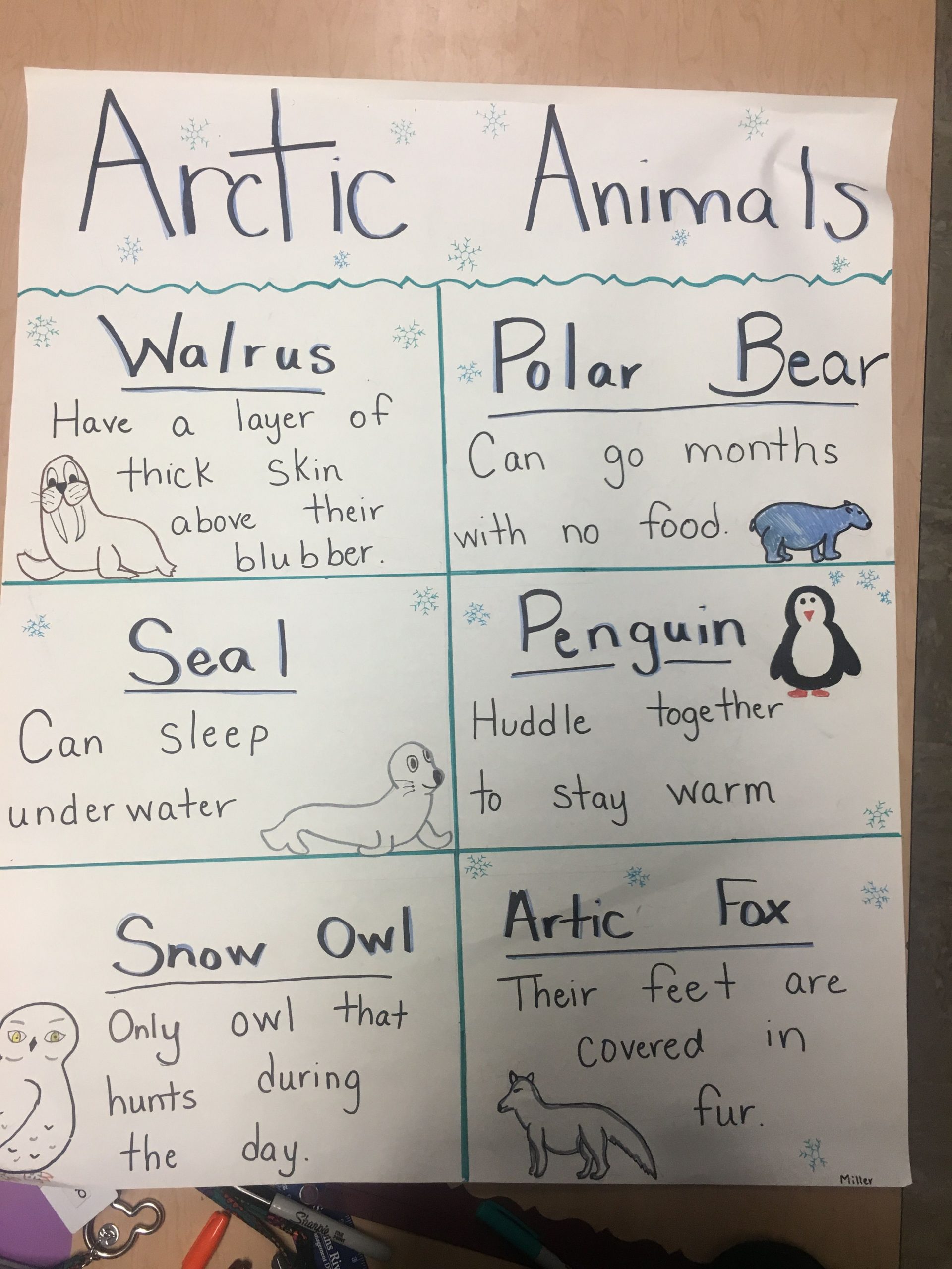 Arctic Animals Chart