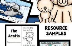 Arctic Lesson Plans Kindergarten