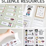 Australian Curriculum   5 Senses Science Unit   Foundation
