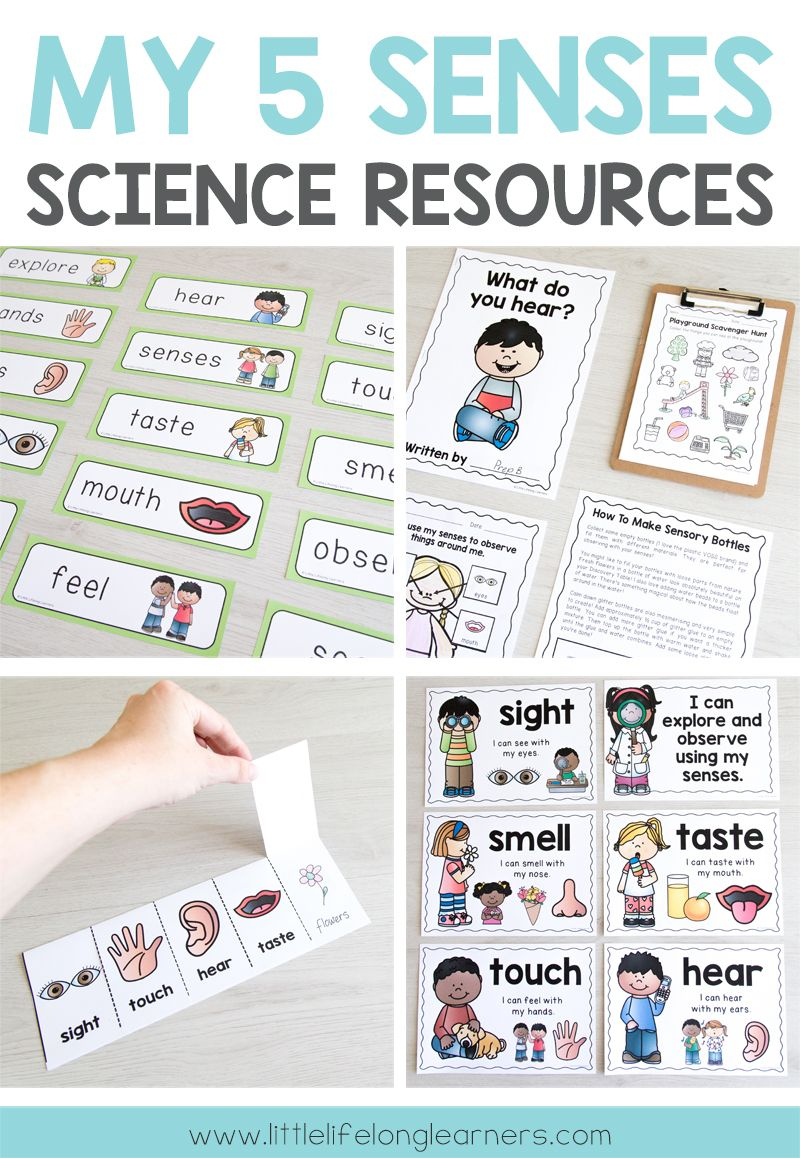 Australian Curriculum - 5 Senses Science Unit - Foundation