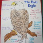 Bald Eagle Poster I Made For American Symbols Unit. (I