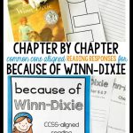 Because Of Winn Dixie | Book Study, 3Rd Grade Reading, Third