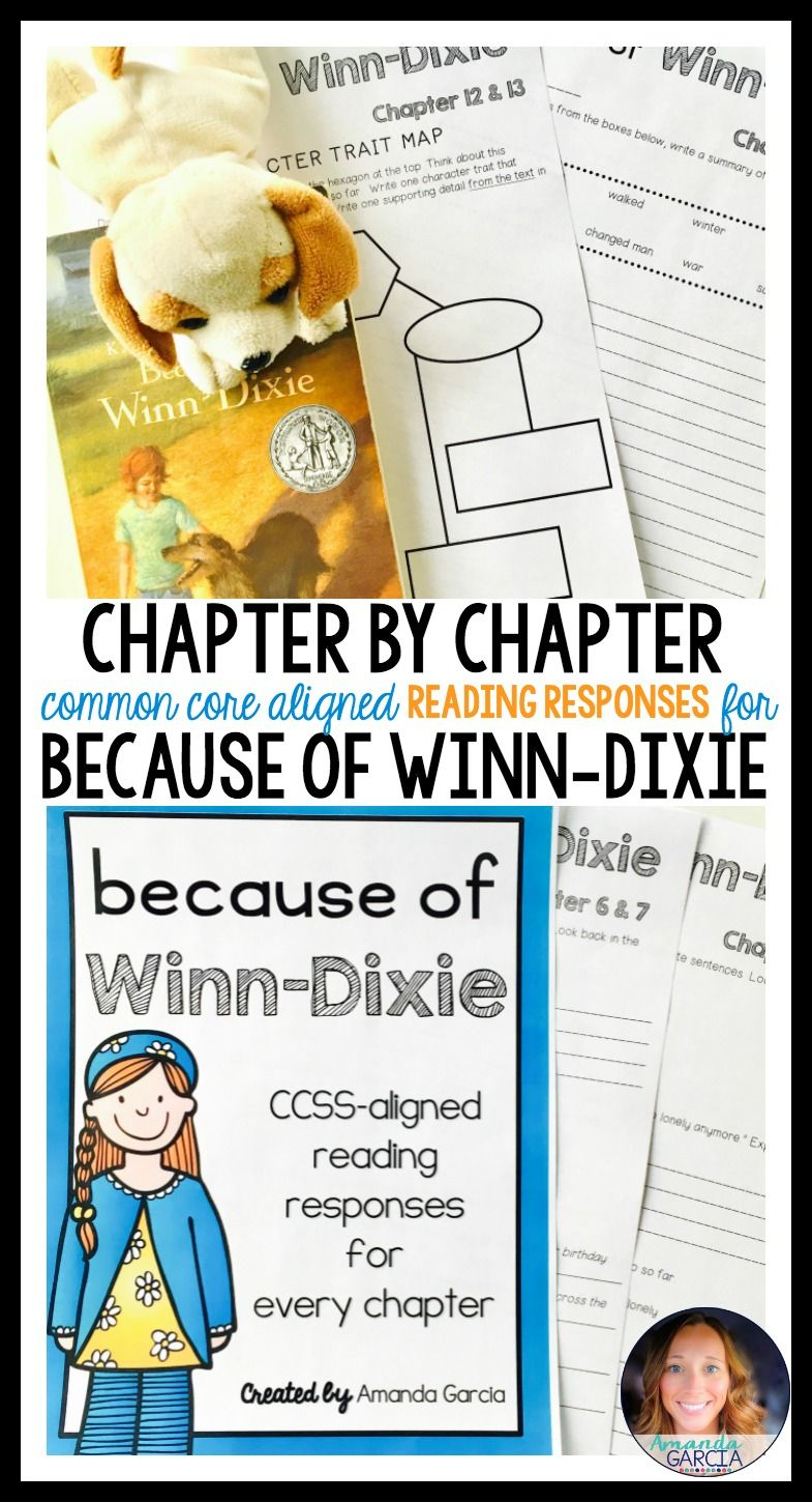 Because Of Winn-Dixie | Book Study, 3Rd Grade Reading, Third