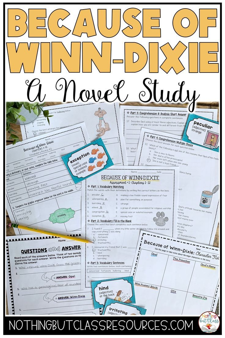 Because Of Winn-Dixie: Complete Novel Study Unit | Book