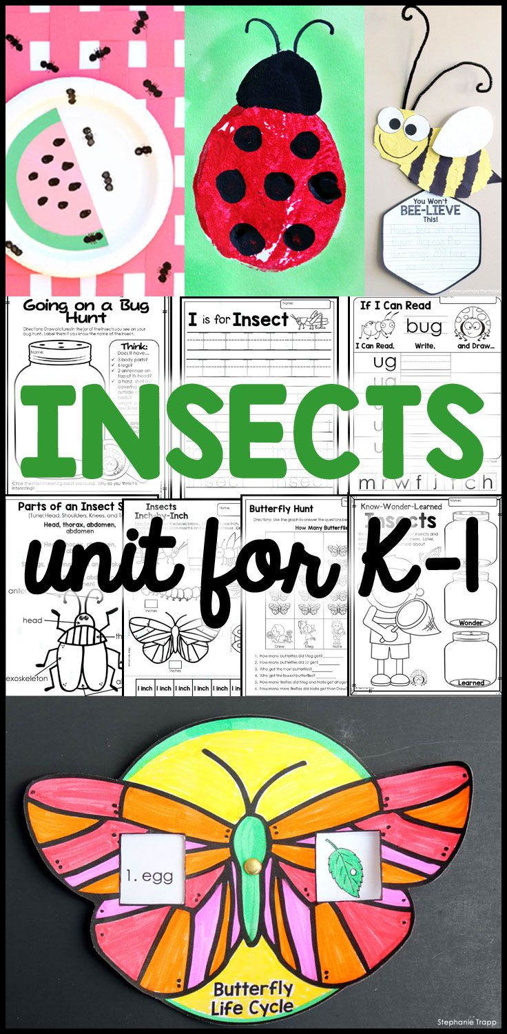 Bee Craft Template | Insect Activities, Kindergarten Lesson