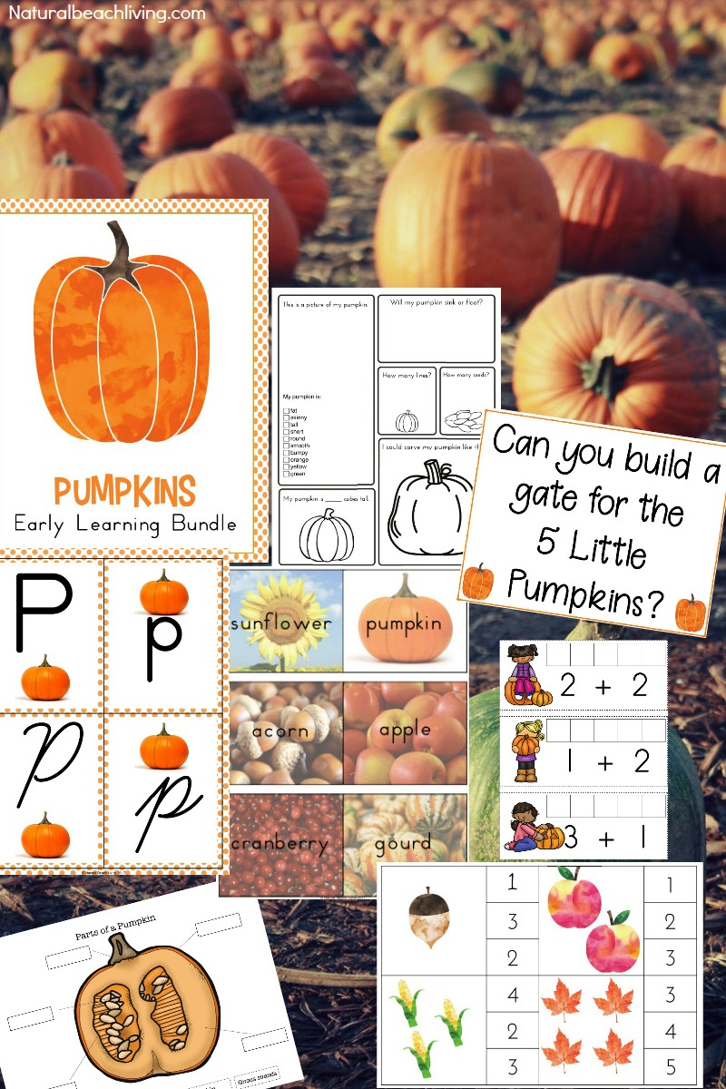 Best Kindergarten And Preschool Pumpkin Theme Lesson Plan