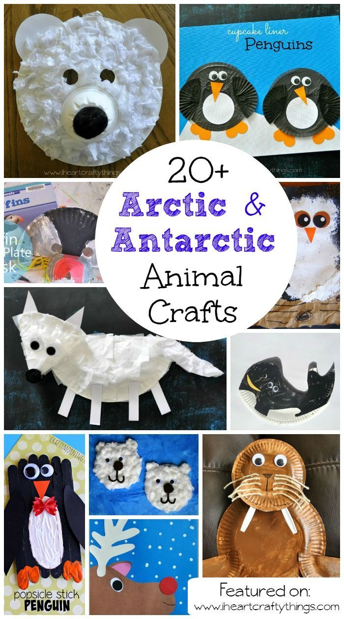 Best Winter Animal Crafts For Kids | Arctic Animals Crafts