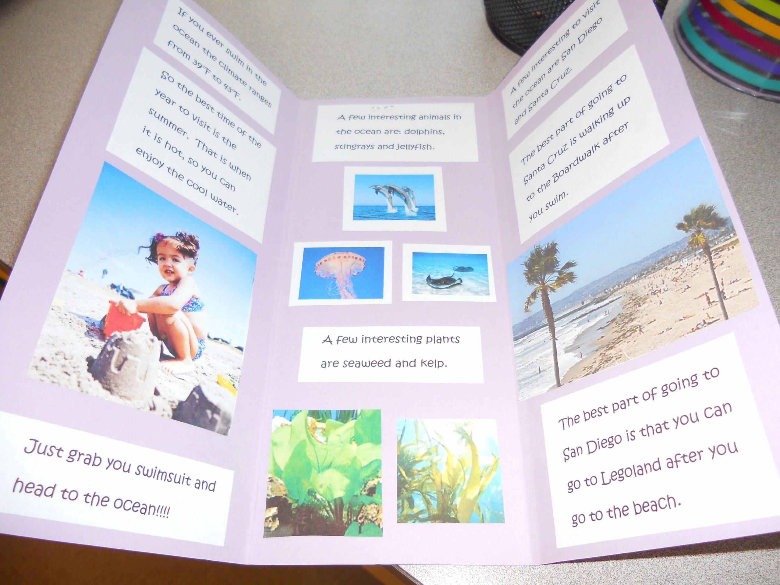 Biome Travel Brochure - As An Assessment, Have The Students