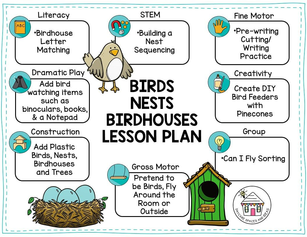 Birds, Nests, And Birdhouses Lesson Planning Ideas