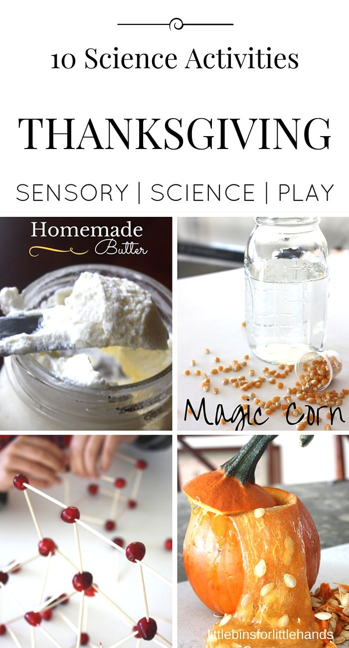 Bountiful Thanksgiving Science Activities For Harvest Season