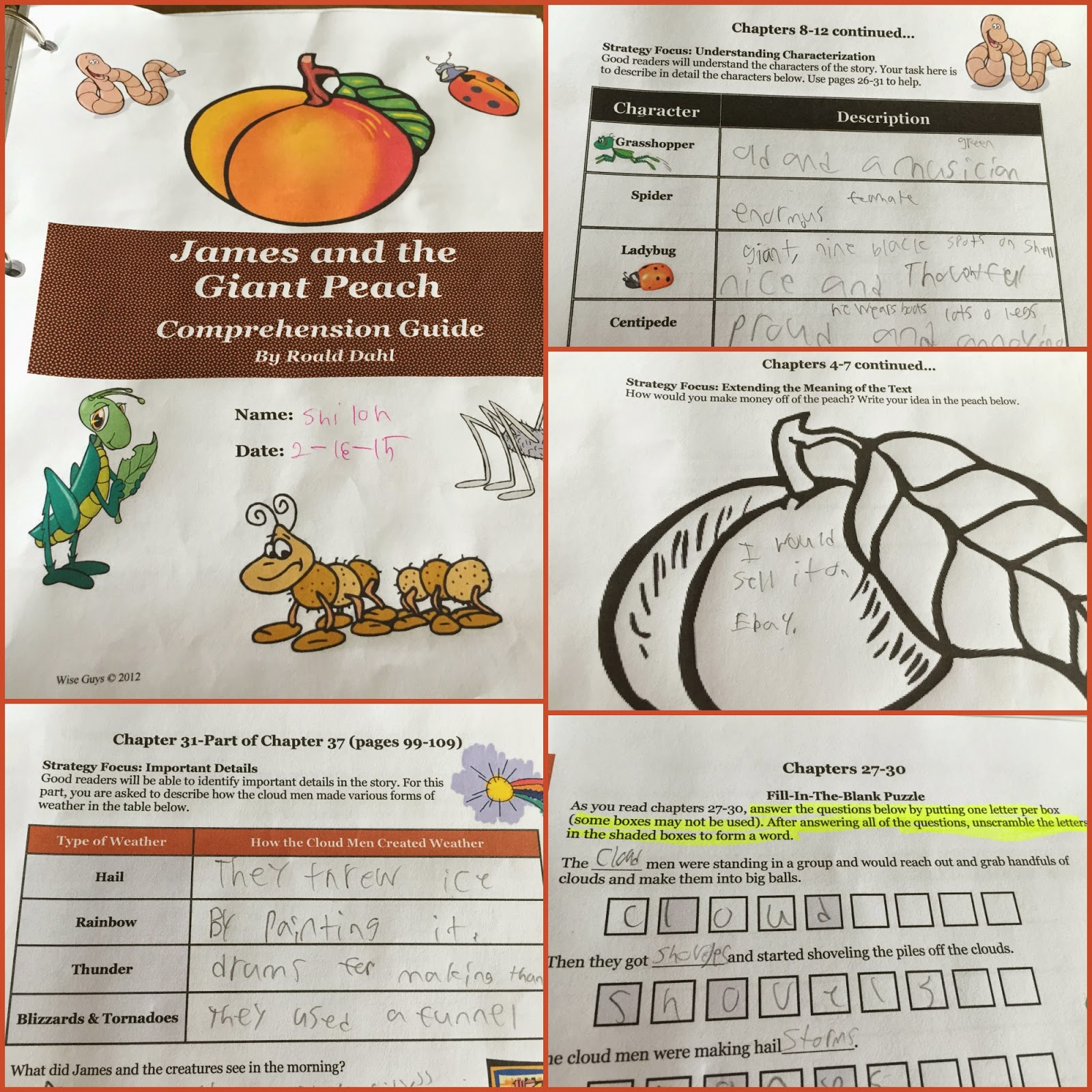 Brandi Raae: James And The Giant Peach Activities And Resources