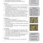 Brbt What Makes A Bird A Bird Lesson Plan.pub | School Plan