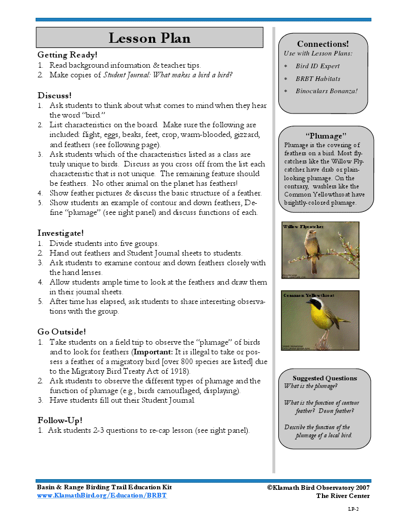 Brbt_What Makes A Bird A Bird_Lesson Plan.pub | School Plan