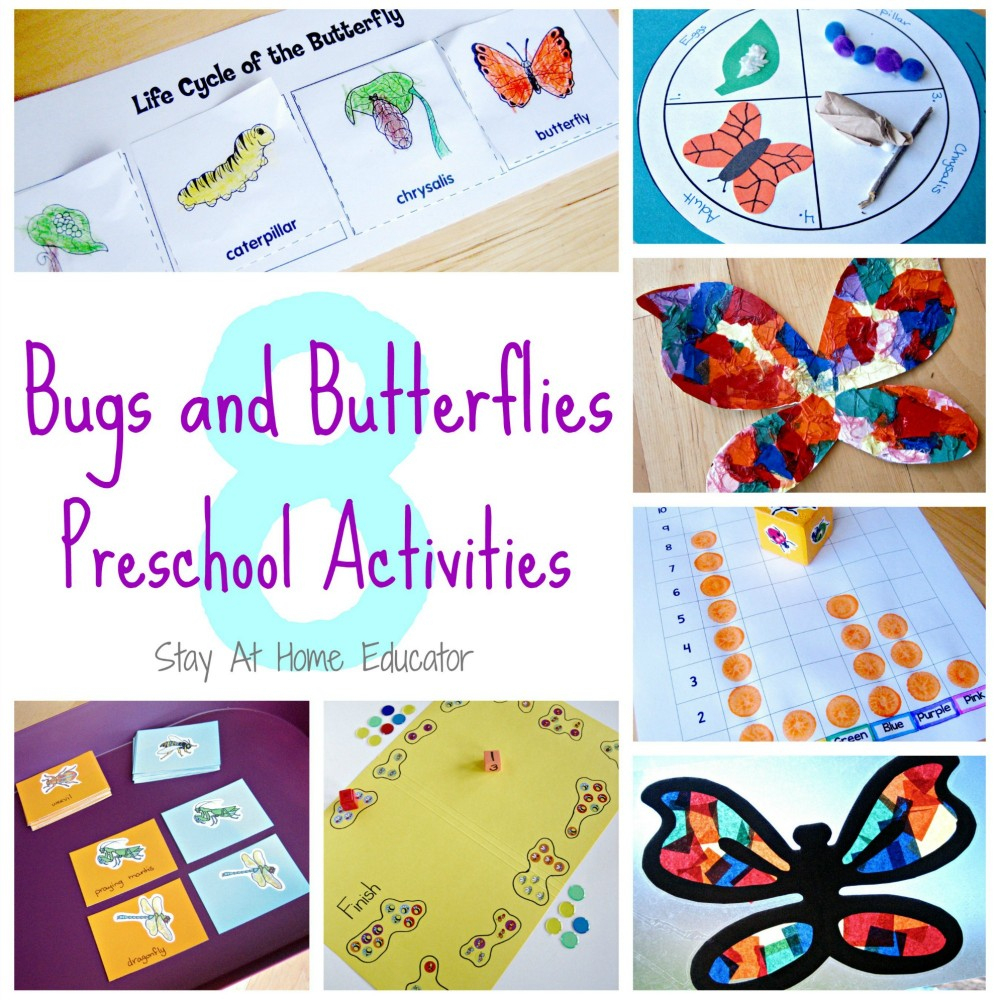 Bugs And Butterfies Theme Preschool Activities