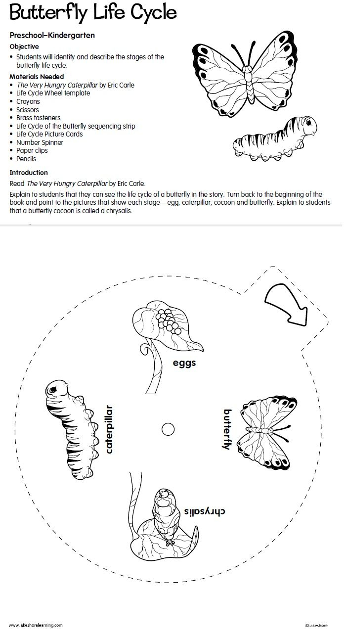 Butterfly Life Cycle Lesson Plan From Lakeshore Learning