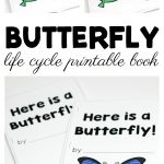 Butterfly Life Cycle Printable Book For Preschool And