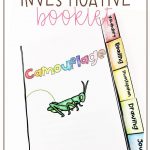 Camouflage Investigation Tabbed Booklet (Adaptations